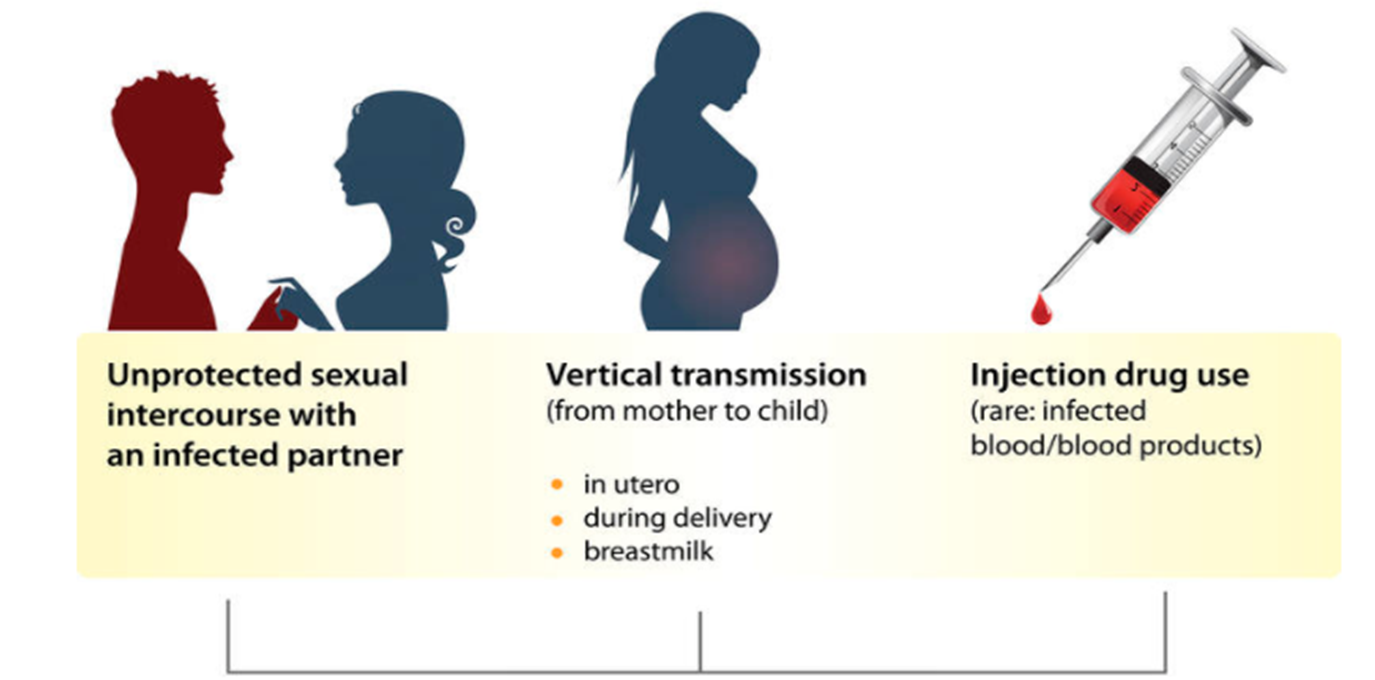 Causes of HIV/AIDs (Wilkin and Brainard 1).